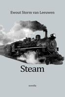 Steam - Ewout Storm van Leeuwen - ebook - thumbnail