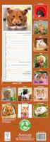 Hamster Kalender 2026 Slimline - thumbnail