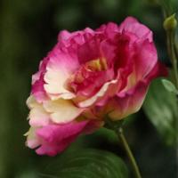 Lisianthus Kunsttak 61cm Paars - thumbnail