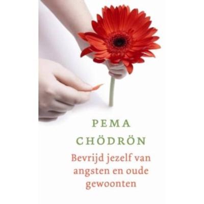 Bevrijd jezelf van angsten en oude gewoonten (Paperback)