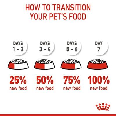 Royal Canin Mother & Babycat kattenvoer 4 kg - thumbnail