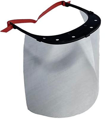 Tayg Gelaatsscherm Transparant PET 30x21 cm