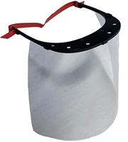 Tayg Gelaatsscherm Transparant PET 30x21 cm - thumbnail