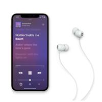 Apple Flex Headset In-ear Bluetooth Grijs - thumbnail