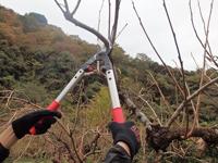 ARS Takkenschaar LPB-30S 48cm, S, rood/grijs - thumbnail