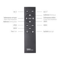 Paul Neuhaus Strakke plafondlampPure Lines Straight antraciet - 6021-13 - thumbnail