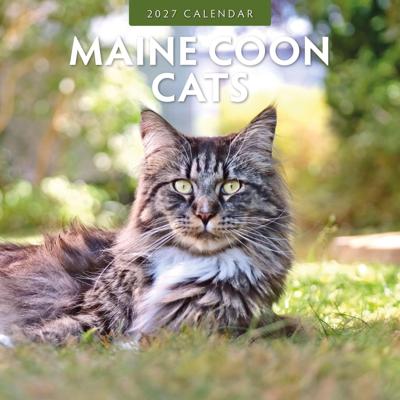 Maine Coon Kalender 2027 Maine Coon Kalender 2027