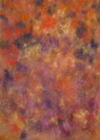 BRESSER BR-I572 Achtergronddoek met Print 1,8x2,5m - thumbnail