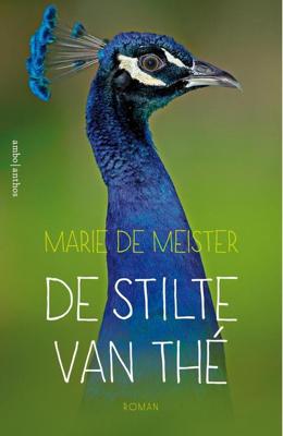 De stilte van Thé - Marie de Meister - ebook