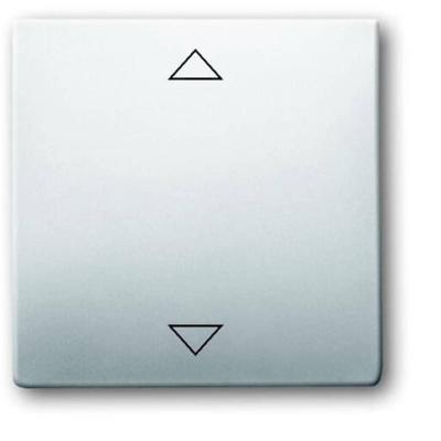 Busch-Jaeger 6430-866-102 Ingangsmodule ↑/↓ RVS 1 stuk(s) Busch-Jaeger 6430-866-102 Ingangsmodule ↑/↓ RVS 1 stuk(s)