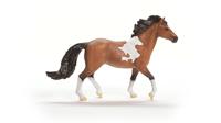 schleich HORSE CLUB mangalarga marchador hengst 13978 - thumbnail