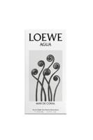 Loewe Agua Mar de Coral Eau de Toilette 100ml - thumbnail