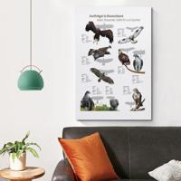 Samsung Galaxy A36 5G 128GB Smartphone Paars - thumbnail