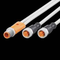 ifm Electronic EVW178 Verbindingskabel Aantal polen (sensoren): 4, 5 Stekker, recht, Bus, recht 0.3 m 1 stuk(s) - thumbnail