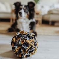 HUNTER Hondenspeeltje Snuffelbal, blauw - thumbnail