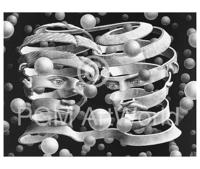 Kunstdruk M. C. Escher - Band ohne Ende 65x55cm - thumbnail