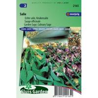 Salie zaden - Keukensalie - thumbnail