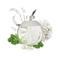 Cacharel Noa eau de toilette vapo female 30 Milliliter - thumbnail