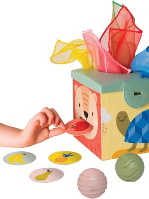 Magic Box - TAF TOYS meerkleurig