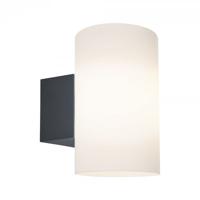 Paulmann 94186 Buitenlamp (wand) LED E27 15 W Antraciet - thumbnail