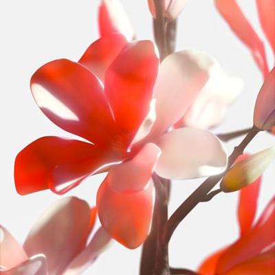 Tommy Hilfiger Girl Now Eau de Toilette Tommy Hilfiger Girl Now Eau de Toilette