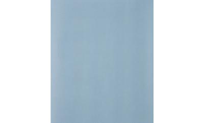 PFERD TOOLS 45015060 Handschuurpapier Korrelgrootte (num) 600 (l x b) 280 mm x 230 mm 50 stuk(s)