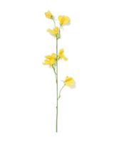 HEMA Kunstbloem lathyrus geel (geel) - thumbnail