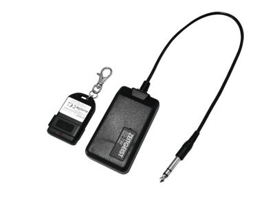 Eurolite EUROLITE Zeitgeist ZG-1W Wireless control