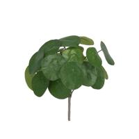 Pannenkoek Kunstplant 30cm - thumbnail