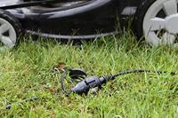 Meister Verlengsnoer Ip44 10M Zw - WU7435020 - thumbnail