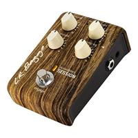 LR Baggs Align Series Session - thumbnail