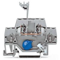 WAGO 280-502/281-611 Aderklem 5 mm Spanveer Toewijzing: L Grijs 50 stuk(s) - thumbnail