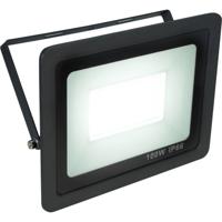 Eurolite LED IP FL-100 SMD CW 51915045 LED-buitenschijnwerper Energielabel: E (A - G) 100 W Lichtkleur (naam): Koudwit - thumbnail