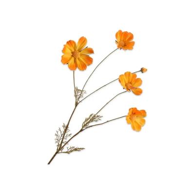 Cosmos licht oranje 92 cm kunstbloem Buitengewoon de Boet - Buitengewoon de boet