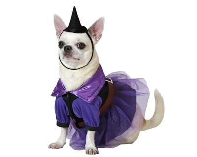 Kostuum voor honden Heks Maat S