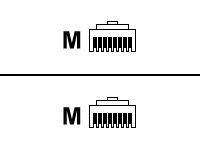 StarTech RCABNCFM RCABNCFM RCA naar BNC Video/Audio Adapter (Mannelijk/Vrouwelijk) - thumbnail