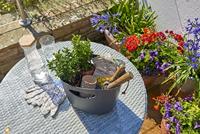 Hozelock superhoze city 7.5 meter - thumbnail