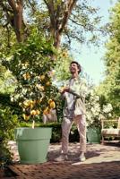 Elho vibia campana round 47 pistache green - thumbnail