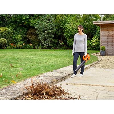 Black & Decker BCBL200L 18 W 12 V 145 km/h Lithium-Ion (Li-Ion) Black & Decker BCBL200L 18 W 12 V 145 km/h Lithium-Ion (Li-Ion)