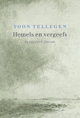 Hemels en vergeefs - Toon Tellegen - ebook