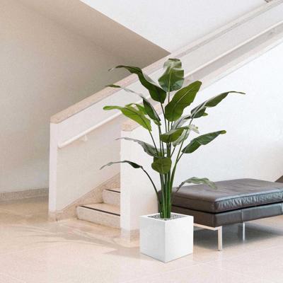 Traveller kunstpalm deluxe 165cm