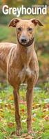 Greyhound Slim Calendar 2026 Dog Breed Slimline Calendar - 12 Month - thumbnail
