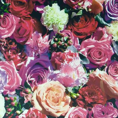 Dutch Wallcoverings J97010