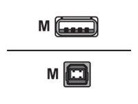 Equip USB-kabel A -> B St/5,00 m polybag, zwart - thumbnail