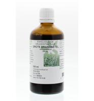 Grote Brandnetel - thumbnail