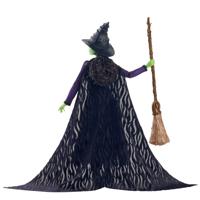 Mattel-Wicked-Elphaba pop met gevlochten haar en meerdere poses - Wicked - HXY38 - thumbnail