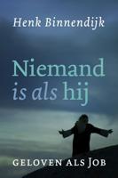 Niemand is als hij - Henk Binnendijk - ebook - thumbnail