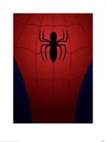Kunstdruk Ultimate Spider-Man Torso 60x80cm - thumbnail