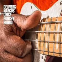 Dunlop Marcus Miller MD-4 Super Bright bassnaren 45 -105 - thumbnail