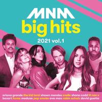 MNM Big Hits 2021 - Volume 1 - CD (0600753937716) - thumbnail
